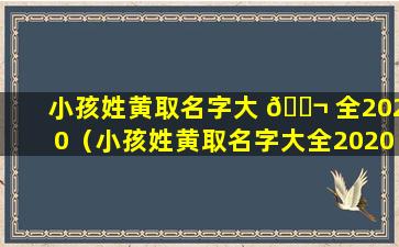 小孩姓黄取名字大 🐬 全2020（小孩姓黄取名字大全2020男孩）